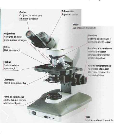 Histologia para Curiosos: Microscopia