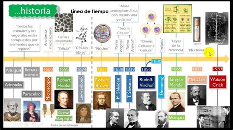 Historia de la Biología | Teoría celular, Biología y Historia