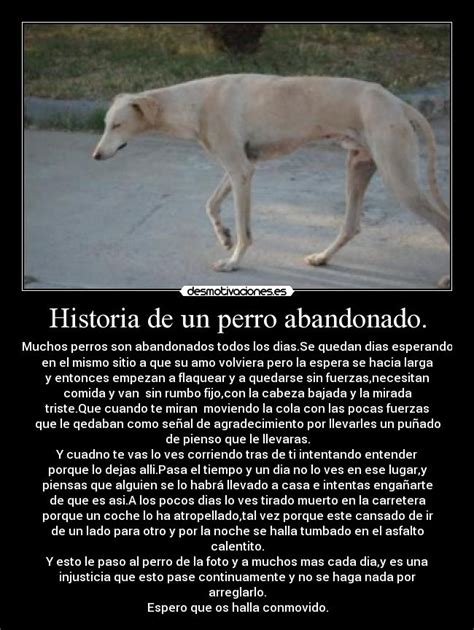 Historia de un perro abandonado. | Desmotivaciones