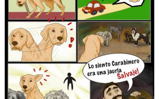 Historia de un perro “asilvestrado”. Comic. – WWW ...