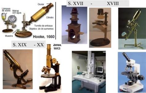 Historia del Microscopio   Inventor, Origen y Evolución ️