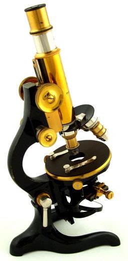 Historia del microscopio   Mundo Microscopio