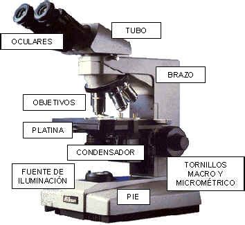 Historia del microscopio   ... y el arco de los deseos