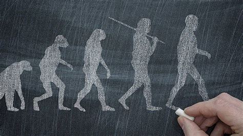 Historia: Por qué todo lo que sabemos sobre la evolución ...