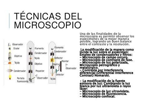 Historia, técnicas, instalación, tipos de microscopios
