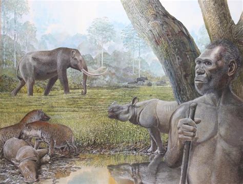 Historia y Arqueología: La extinción de megafauna y de homínidos pudo ...