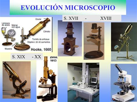 Historia y evolucion del microscopio | Mind Map