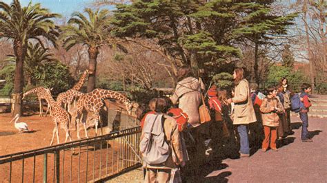 Història | Zoo Barcelona