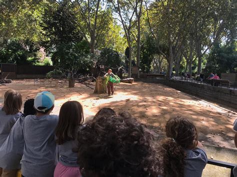 Històries de cadells: grup2 | Zoo Barcelona