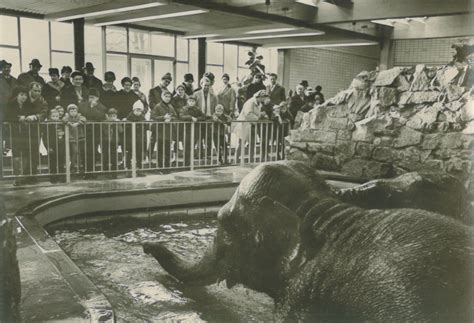 Historische Zeitreise zum 70. Zoojubiläum | Zoologischer Garten Magdeburg