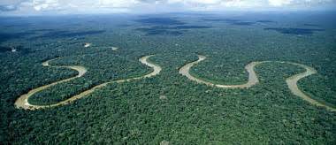 History: The Amazon Jungle | Brazil Environmental Issues