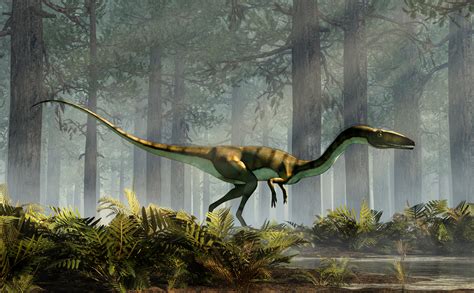 History: When Was The Triassic Period: Level 1 activity ...