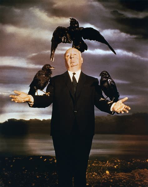 Hitchcock s Movie, The Birds | BirdNote