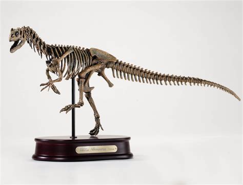 HMNS Museum Store | Skeleton model, Dinosaur skeleton ...