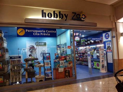 HOBBY ZOO: El proyecto:  Canvas Business Model and Design ...