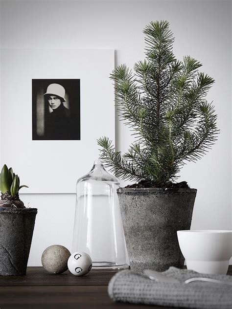 Hogar diez: 5 árboles de Navidad minimalistas