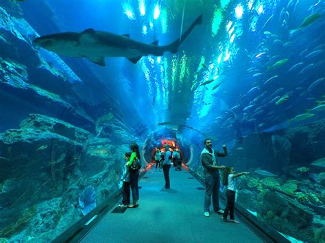 Holiday with Kids in Dubai 6 Amazing Places to See