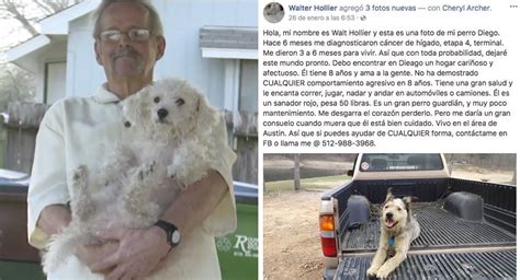 Hombre con cáncer terminal pide que adopten a su perro ...