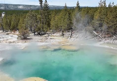 Hombre se desintegra en aguas termales de Yellowstone Park ...