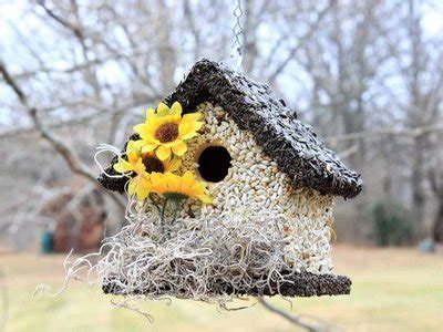 Home Edible Birdhouses