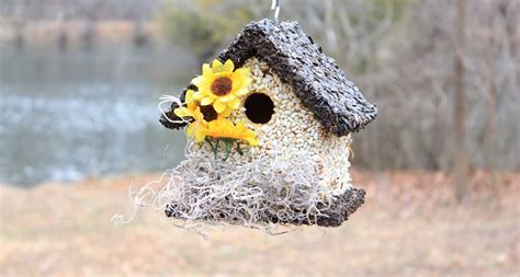 Home Edible Birdhouses