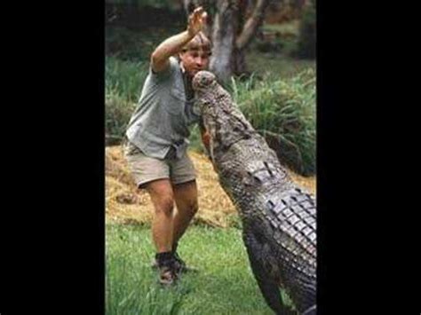 Homenaje a Steve Irwin  El cazador de cocodrilos    YouTube