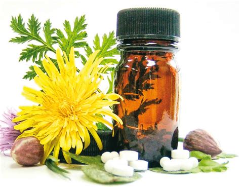 Homeopatía: breve historia. | Equisen