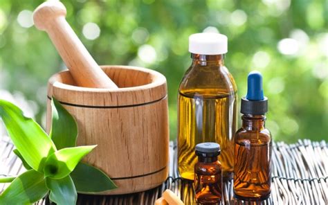 Homeopatía, una alternativa a la medicina tradicional ...