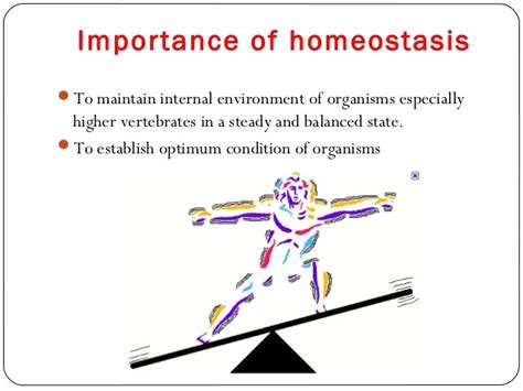 Homeostasis and Dynamic Equilibrium   OBEN Science 7E