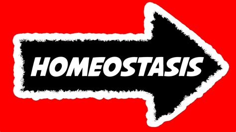 Homeostasis Explained   Definition, Metaphor, Examples ...