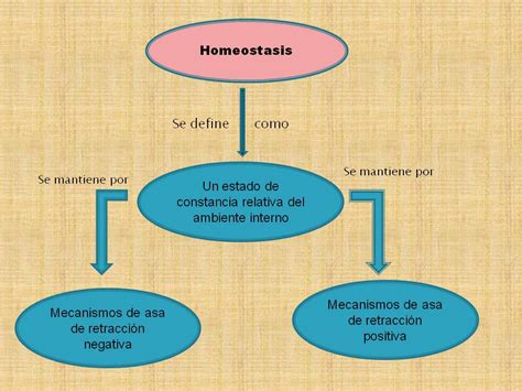 Homeostasis y Control por Retroaccion, Equilibrio del ...