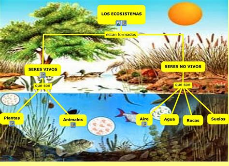 Homeostasis y degradación de ecosistemas microbianos