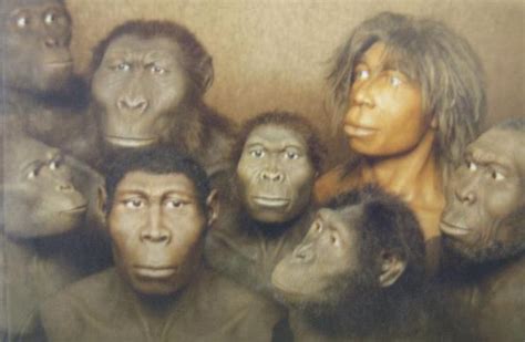 Homo naledi, el más reciente homínido prehistórico ...