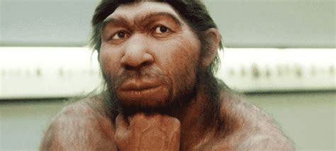 Homo Neanderthalensis – ¿Quién fue? – Dinosaurios