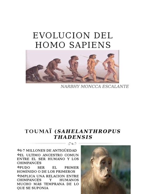 Homo Sapiens | Homo | Hominini