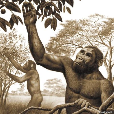 Homo Sapiens   Origen, características, alimentación y ...
