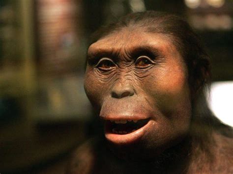 Homo Sapiens   Origen, características, alimentación y ...
