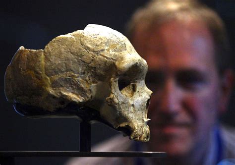 Homo sapiens y neandertales tuvieron más sexo entre ellos ...