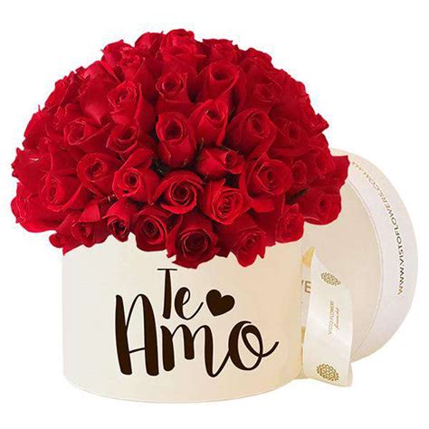 Hongo de Rosas Rojas   Te Amo – Visto Flowers | Envio de Flores
