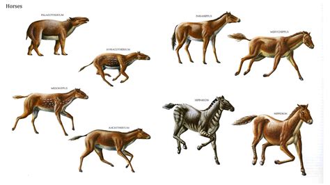Hooved Animals | Dinosaur s ~ Paleontology | Pinterest | Prehistoric ...