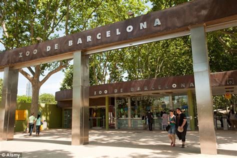Horario Zoo Barcelona   SEO POSITIVO