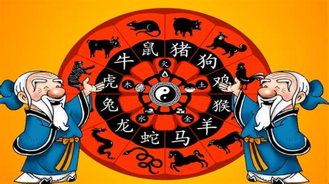 Horóscopo Chino | Zodiaco Chino | ¿Qué animal eres?   YouTube