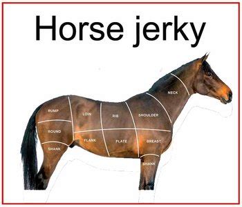 Horse jerky   2 x 100 gram incl. porto   beefjerkykopen