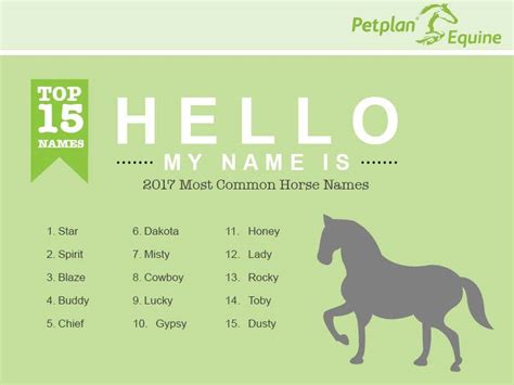 horse names