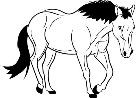 Horse Outline Animal Wild · Free image on Pixabay