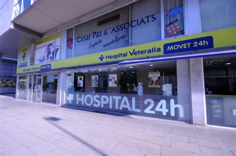 Hospital Veterinario Movet  Veteralia    Urgencias 24 horas