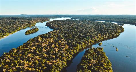Hotel de selva na Amazônia: um FAQ completo sobre a ...