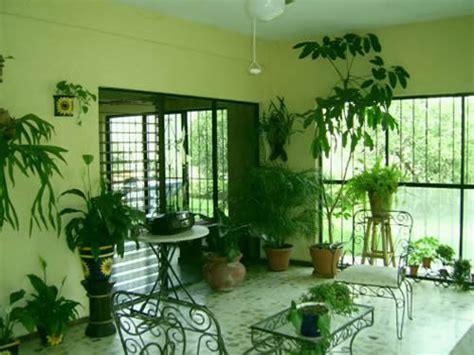 Houseplants — the Best Eco friendly Air Cleaner   Green ...