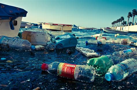 How Does Plastic Get Into The Ocean   All You Must Know