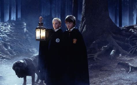 How Harry Potter Fans Can Visit a Real Forbidden Forest ...